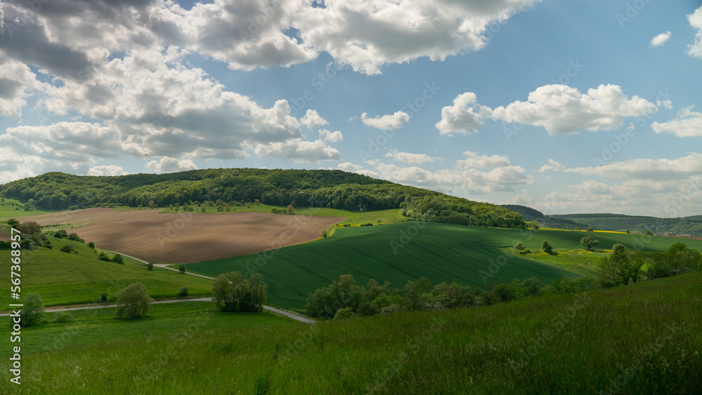 A rural summer landscape framed with trees viewing hills with fields in Thuringia, Germany