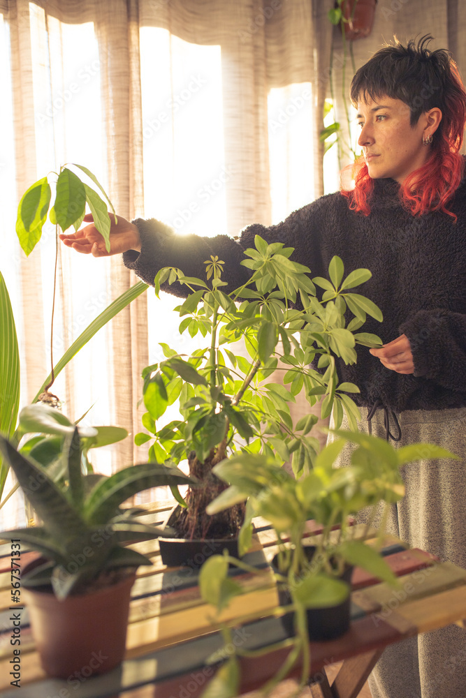woman taking care of the plants caring, mental health, woman at sunset with a smile red hair, watering the plants woman taking care of the plants caring, mental health, woman at sunset with a smile red hair, watering the plants