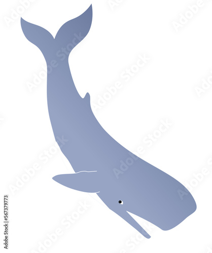 Illustration of a whale jumping vector 