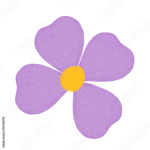 Fototapeta Naklejka Na Ścianę i Meble -  flower on white background