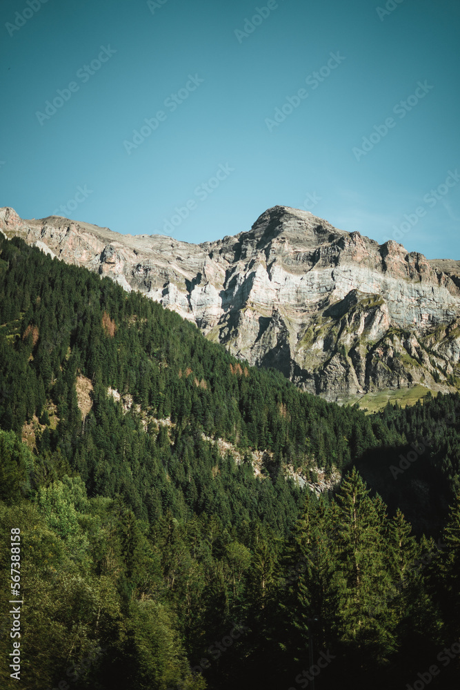 Majestic mountains in the Alps covered with trees and clouds