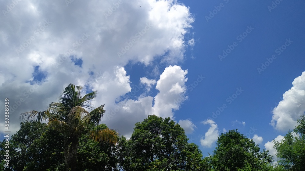 Obraz premium sky with clouds