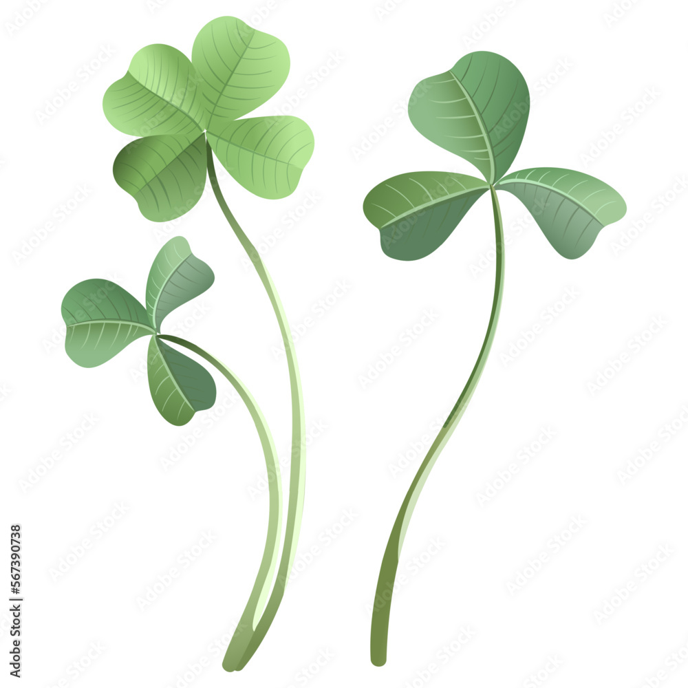 Obraz premium A set of leaves and flowers of a fern in a botanical style, a symbol of the holiday of St. Patrick's Day