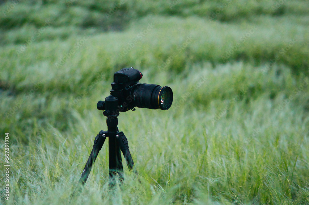 DSLR camera in action nature photography DSLR camera in action nature photography