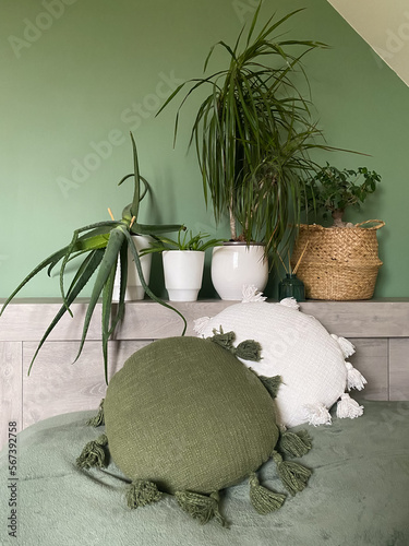 Foto décoration d'intérieur boho sur un mur vert olive