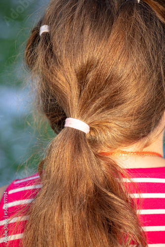 Tail of hair on the girl's head.