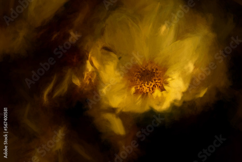 Digital painting of a bright yellow sunlit Margueritte, or Paris Daisy against a dark background, using a shallow depth of field