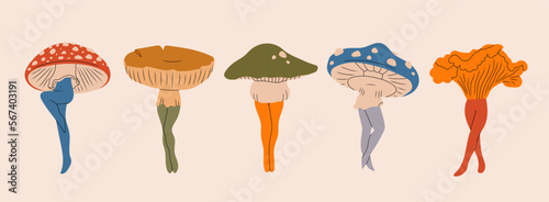 Set of various Mushrooms with graceful female legs. Abstract ladies with mushroom hats. Hand drawn modern Vector illustration. Unique creatures, isolated characters. Psychedelic, trip, hippie concept