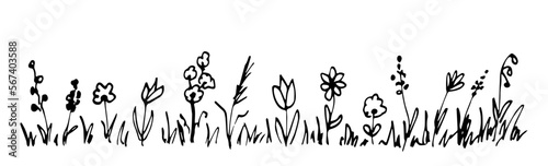 Simple vector black outline drawing in doodle style. Wild field herbs and flowers. Floral border, banner. Sketch in ink. © MaxNadya