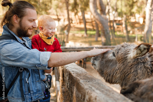 Dad and child interact with donkeys at the zoo.