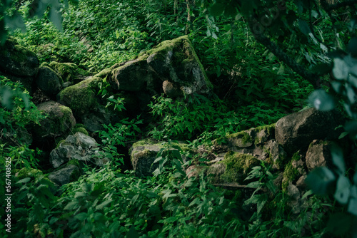 Fototapeta Naklejka Na Ścianę i Meble -  Stone stairs overgrown with green moss outdoors
