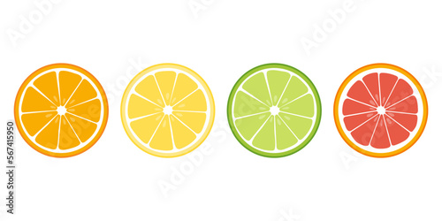 Citrus slice set. Grapefruit, orange, limone, lime. 