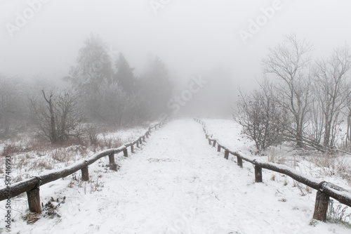 Ein von niedrigen Zäunen flankierter Waldweg im Winter bei Nebel verschwindet im Nichts