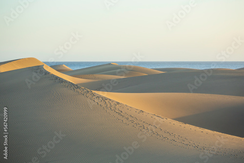 sand dunes formed by the wind in the desert