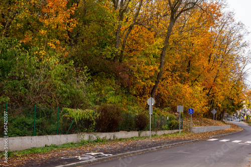 A retaining wall made of concrete elements protects the roadway and pavement from sliding down the slope. Autumn.