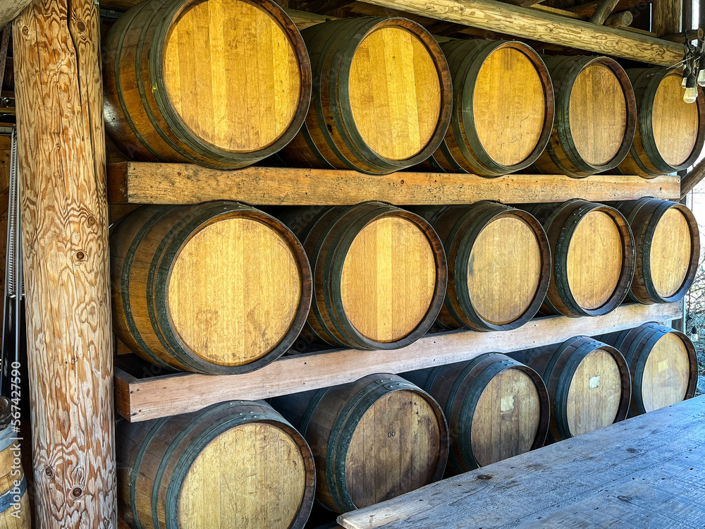 barrels of wine