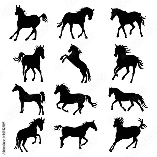 Fototapeta Naklejka Na Ścianę i Meble -  Set of horses silhouette vector illustration