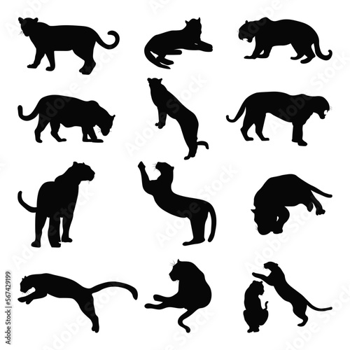 Set of wild jaguar silhouette vector illustration