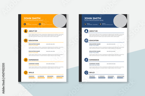 Professional CV / resume template design