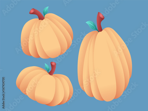 Different Shape Pumpkins Illustration