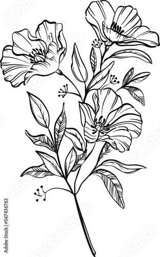 flower  victor