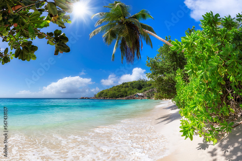 Fototapeta Naklejka Na Ścianę i Meble -  Tropical Sunny beach and coconut palms on white sand beach in Seychelles. Summer vacation and tropical beach concept.  