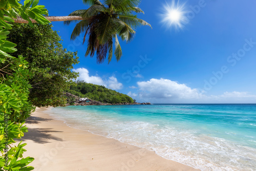 Sunny beach, coco palms and turquoise sea in tropical paradise.