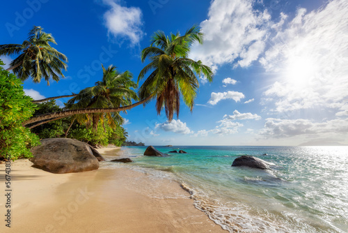 Fototapeta Naklejka Na Ścianę i Meble -  The beach on Paradise Island. Tropical beach with coconut palms, rocks and turquoise sea in Seychelles island.