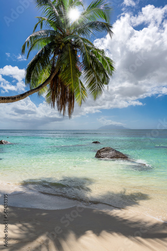 Fototapeta Naklejka Na Ścianę i Meble -  The beach on Paradise Island. Tropical beach with coconut palms, rocks and turquoise sea in Seychelles island.