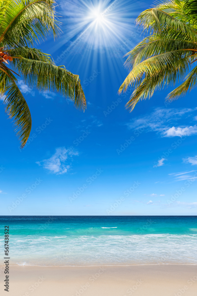 Sunny tropical beach. The leaves of palm trees tropical beach.  Summer vacation and tropical beach background concept. 