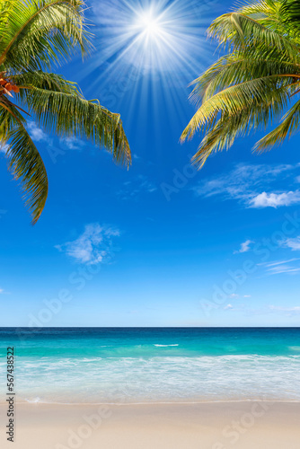 Fototapeta Naklejka Na Ścianę i Meble -  Sunny tropical beach. The leaves of palm trees tropical beach.  Summer vacation and tropical beach background concept. 