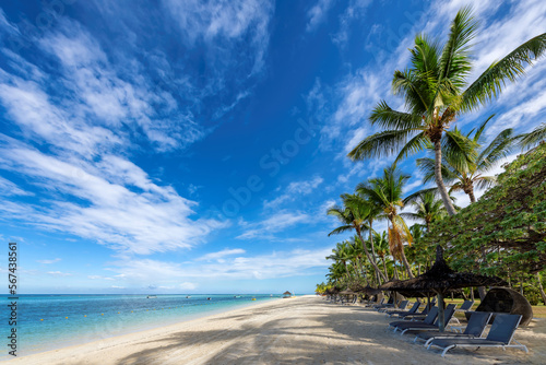 Palm trees in tropical resort. Tropical sunny beach and tropical sea in Mauritius island.