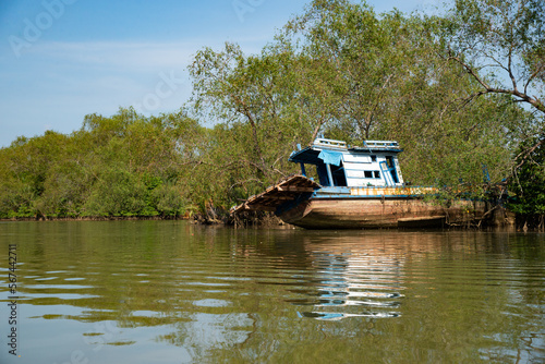 shipwreck on mangrove forest lake