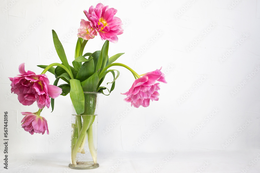 Bouquet of beautiful pink tulips in a glass vase against a white wall. Side view, text space.