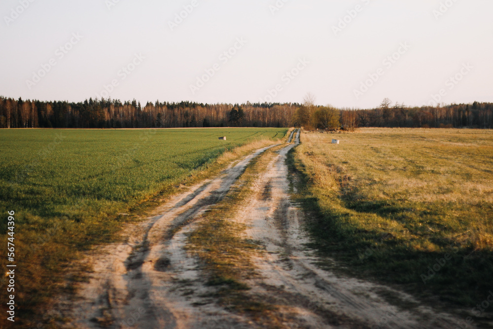 Dirt road leading through field in spring sunset warm light