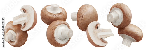 Collection of fresh champignon mushrooms cut out