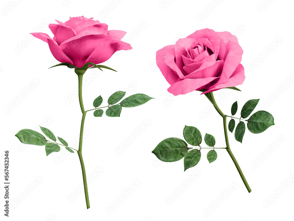 Fototapeta premium 3d pink rose flower 