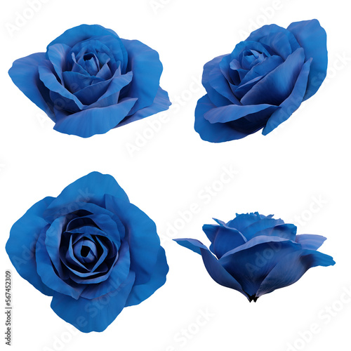 3d blue rose flower buds
