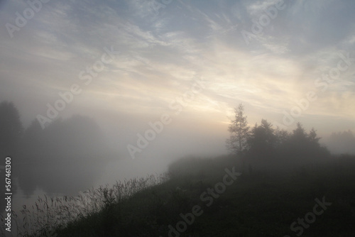 Morning rural landscape with fog. © ksi