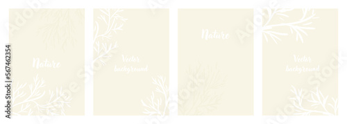 Background texture vector set. Minimal design in light beige tones. Abstract nature, Tree branches, neutral background for presentations, banners, social networks. 