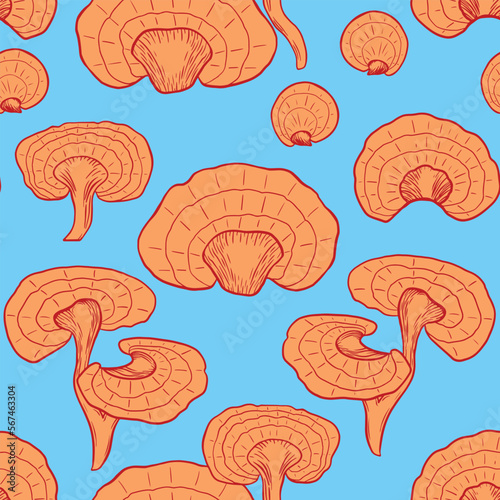 Seamless pattern with hand drawn reishi. Ganoderma mushroom background. Vector illustration.