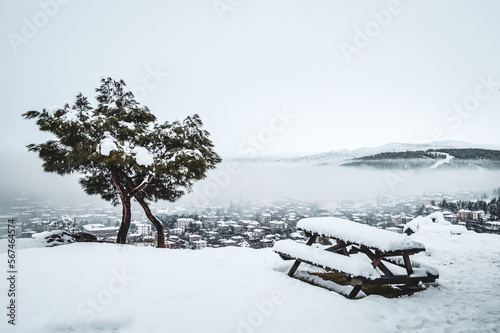 Two trees lean against each other like valentina's day lovers in winter against the town and the bench is empty photo