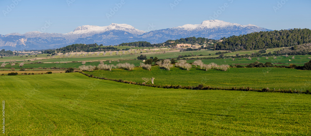 Snow-capped Puig Major and snow-capped Puig de Massanella seen from the cultivated fields of Sant Joan, Majorca, Balearic Islands, Spain Snow-capped Puig Major and snow-capped Puig de Massanella seen from the cultivated fields of Sant Joan, Majorca, Balearic Islands, Spain