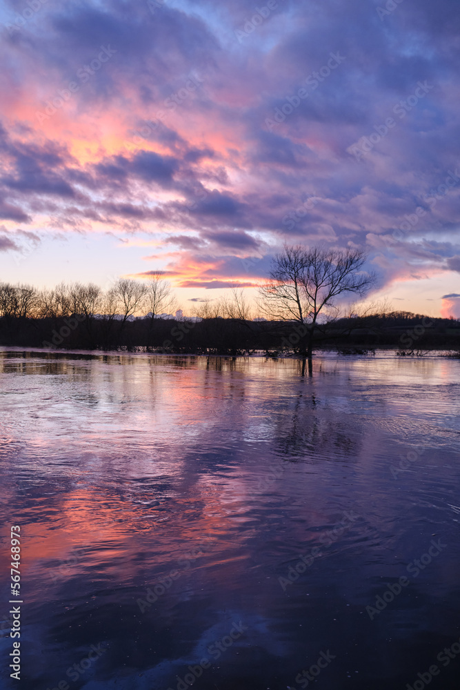 Obraz premium flooded fields in winter at sunset