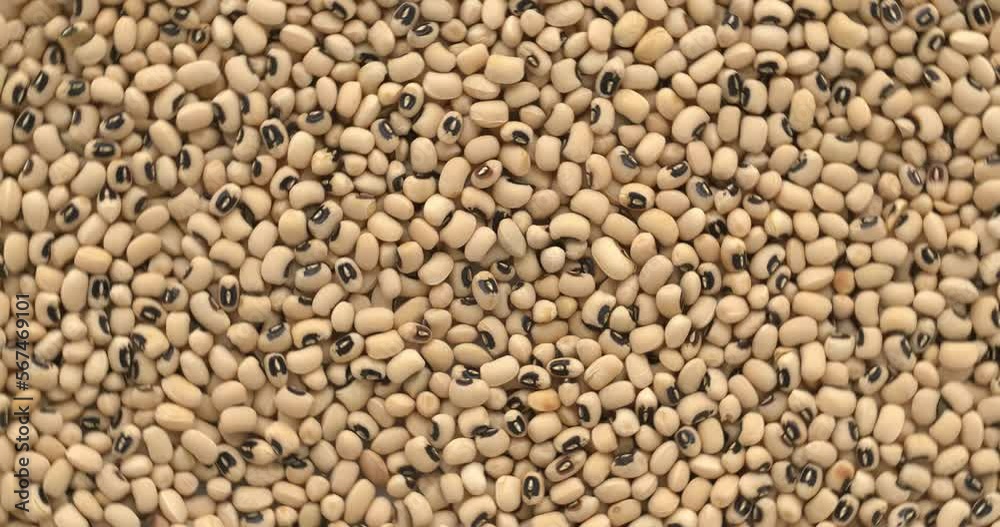 Black-eye beans background texture. Table spin. Seamless loop. Black-eye beans background texture. Table spin. Seamless loop.