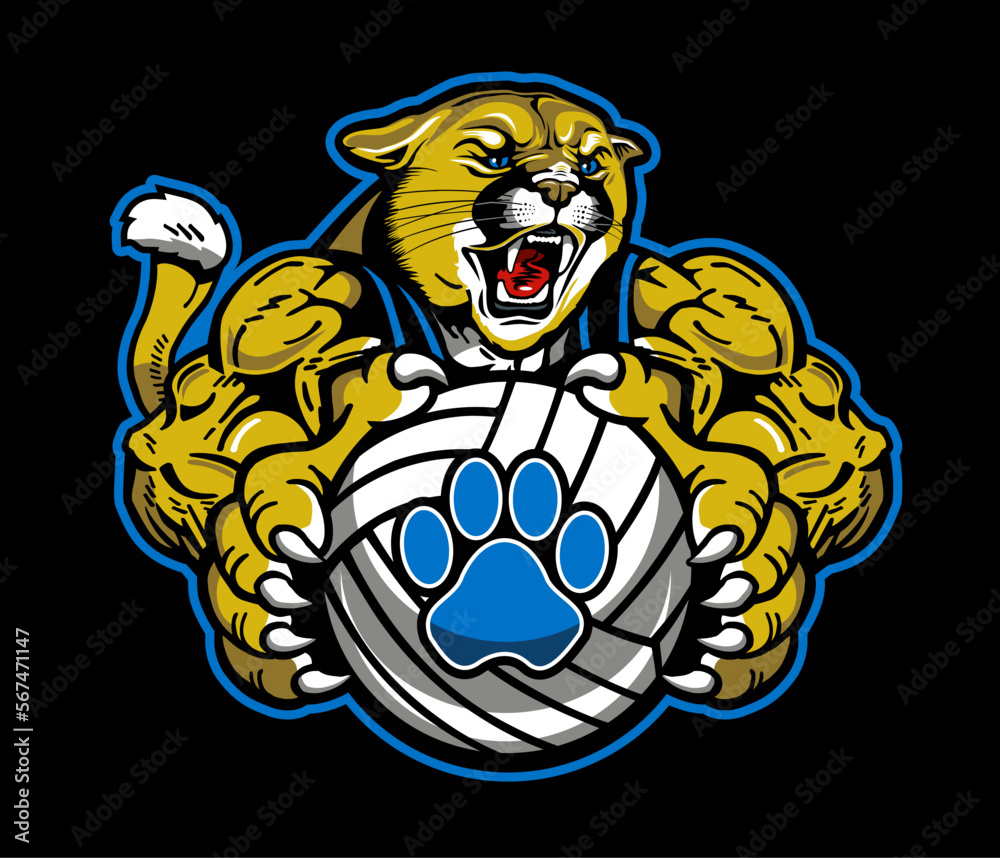 Obraz premium muscular cougar mascot holding volleyball for school, college or league sports