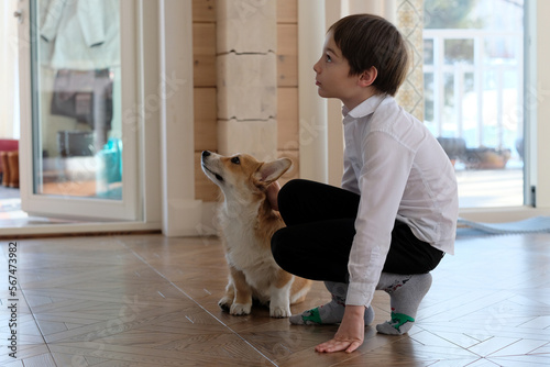 A Castle Pembroke Welsh Corgi dog and a child look in the same direction, sitting on the floor in the house.