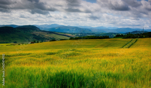 Scenic View of Invergordon  Scotland