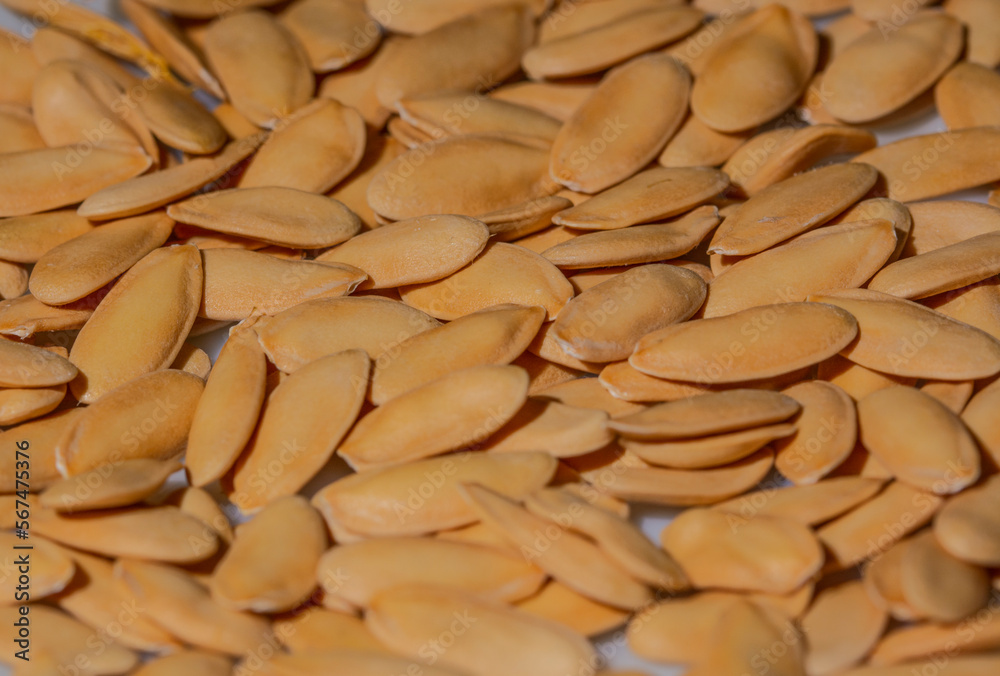 Dry Organic Melon White Seeds top view background or texture. macro shot Dry Organic Melon White Seeds top view background or texture. macro shot
