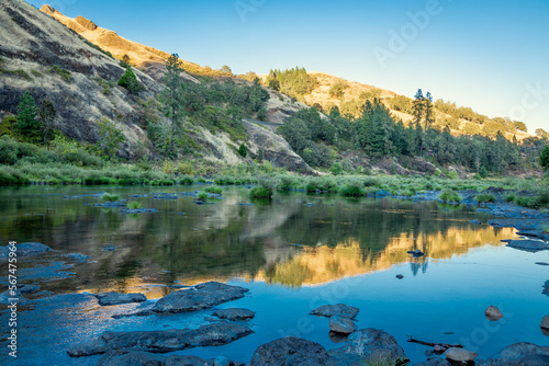 Hillside in golden hour on Umpqua River